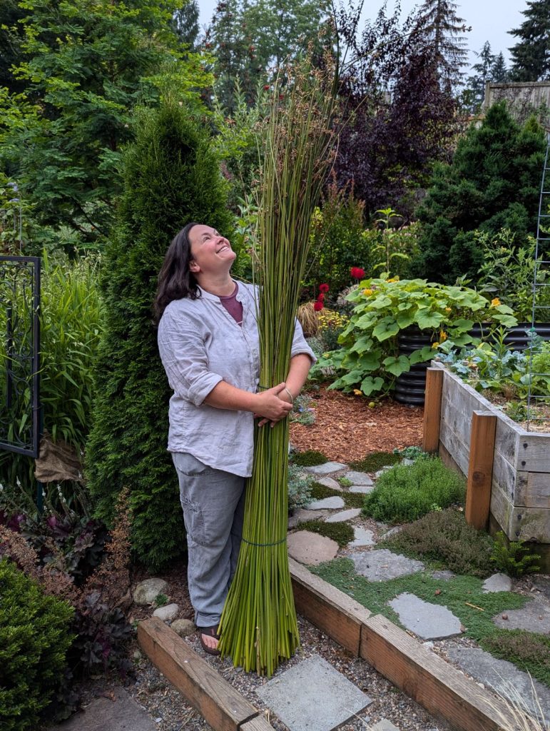 Foraging for Basketry and Wild Crafts Workshop Carnation Events